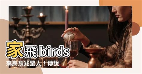 鳥自己飛來|【家裡飛來鳥】家裡飛來鳥竟是吉兆？不可思議的鳥類報喜徵兆